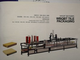 淄博瓷片包装机